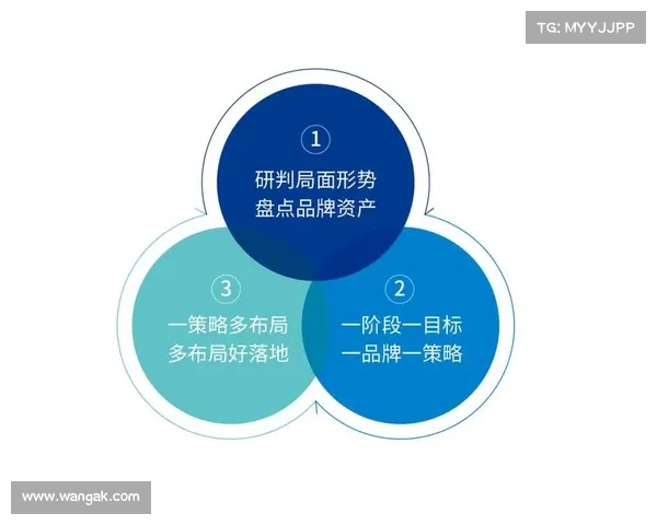 安联赞助策略与其他品牌赞助模式的差异化对比研究