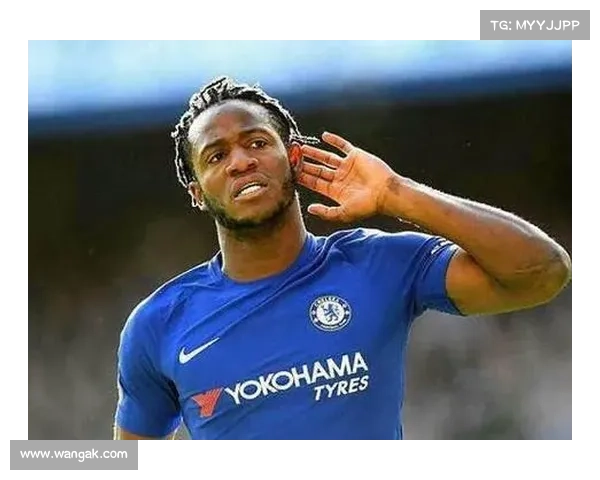 巴舒亚伊说什么语言？深度解析！